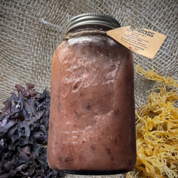 Seamoss & Irishmoss Beauty Gel — Ocean Glow in a Jar.