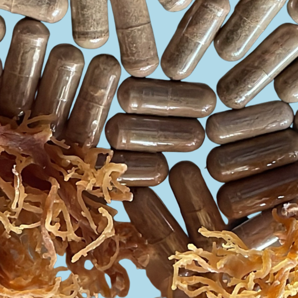 Coco's 8 Mushroom Pet Capsules (Canine)