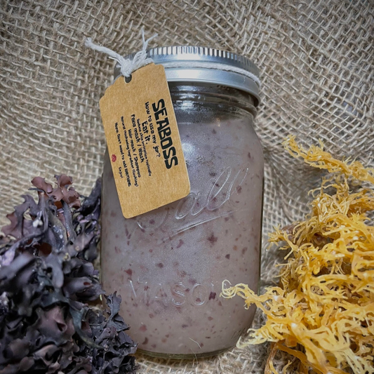 Seamoss & Irishmoss Beauty Gel — Ocean Glow in a Jar.
