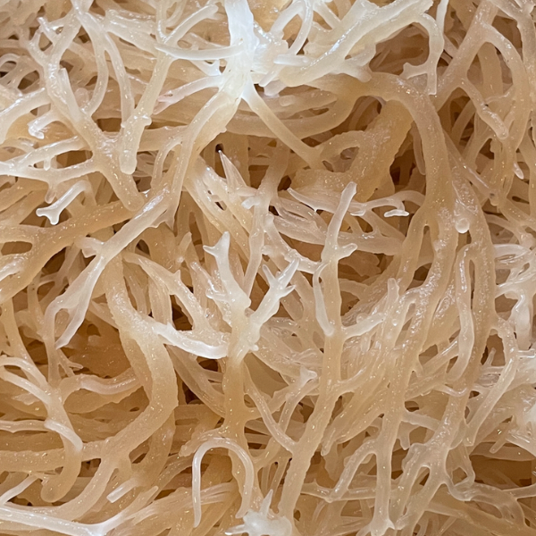 Multipurpose Algae Mineral Blend