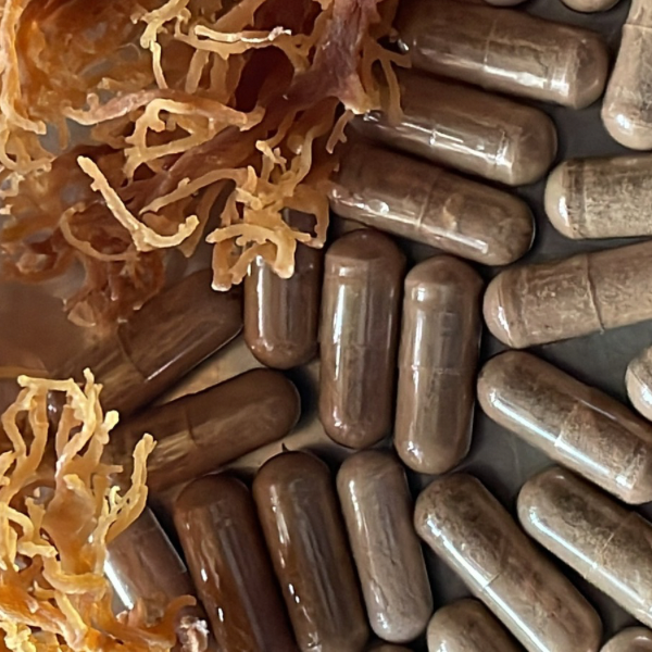8 GOURMET MUSHROOMS W/ SEAMOSS & IRISHMOSS CAPSULES
