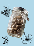 8 Mushroom & Algae Capsules